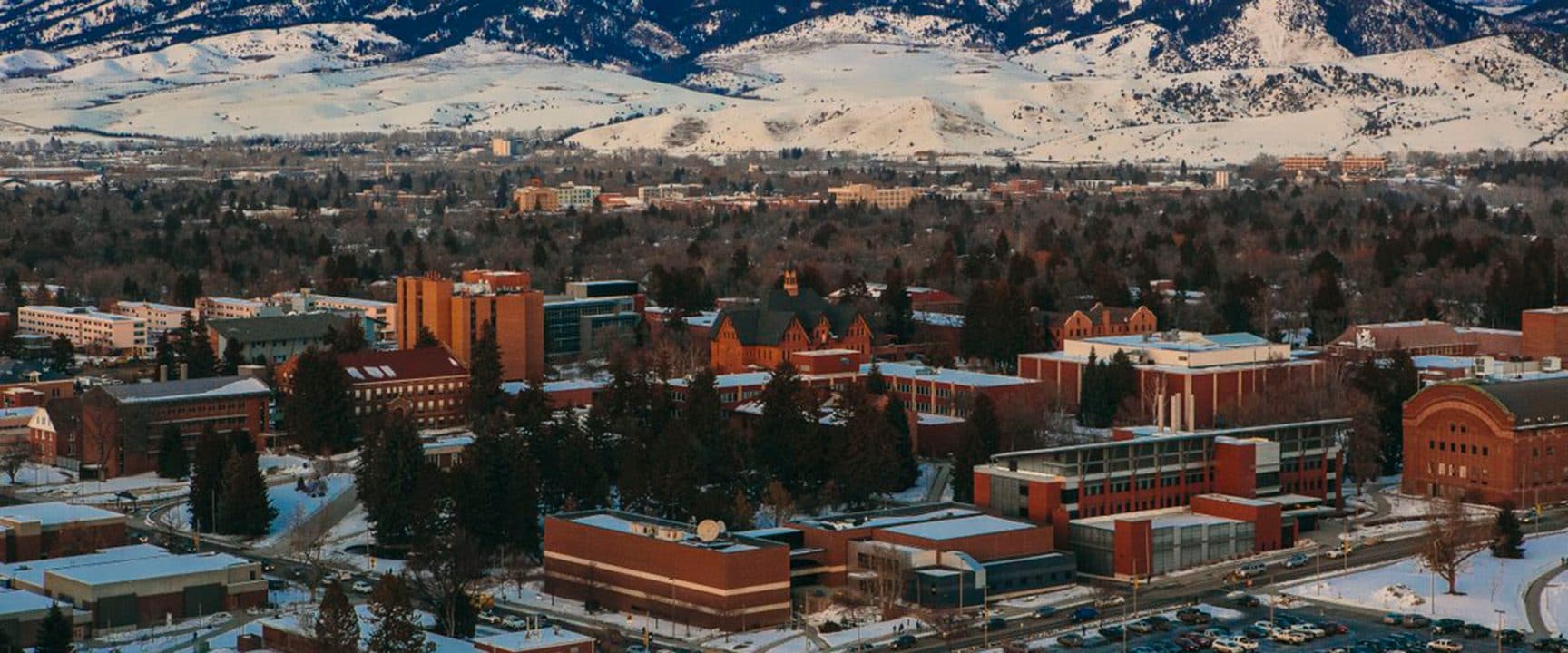 Montana State University