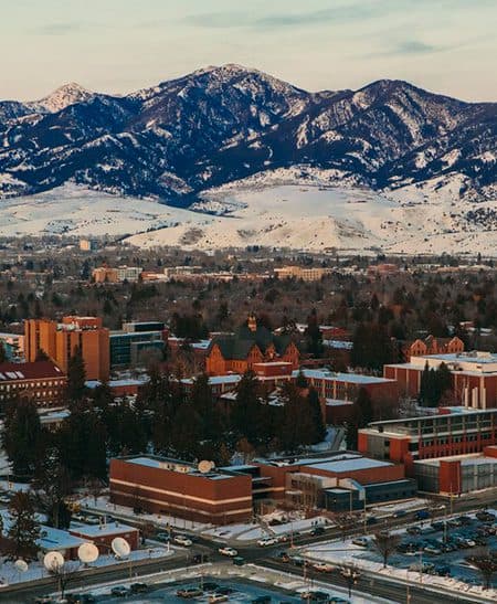 Montana State University