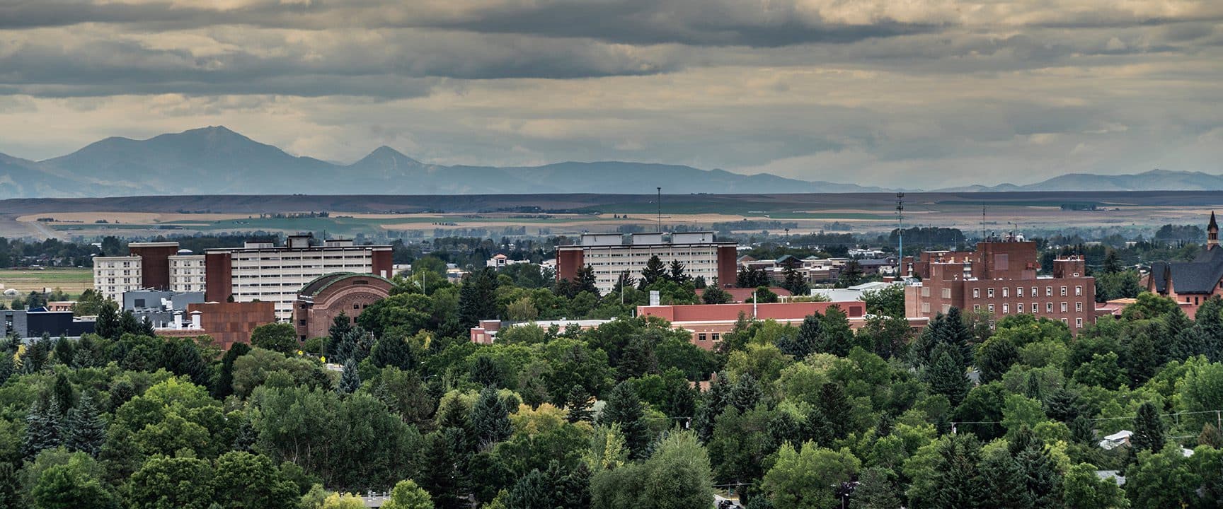 Montana State University