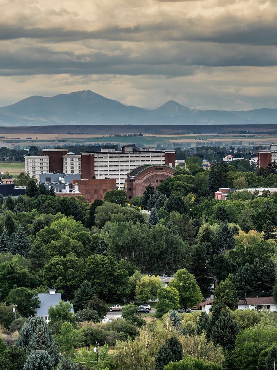 Montana State University