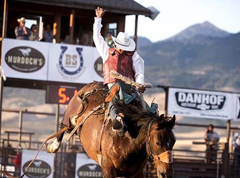 cowboy riding a rodeo horse