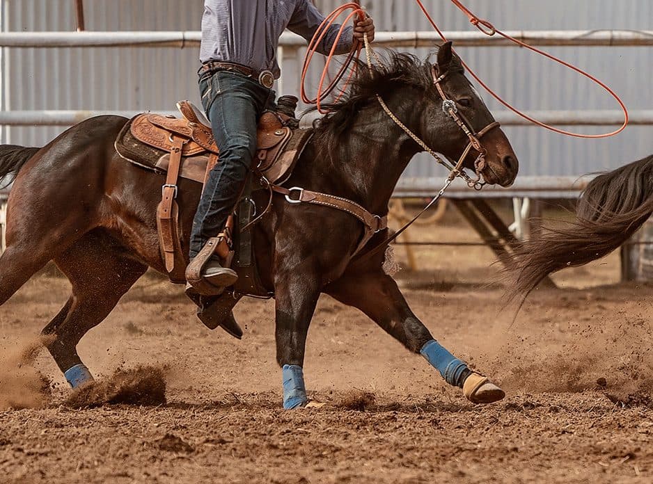 roping event at the rodeo