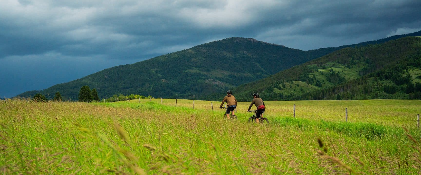 mountain bikers on a trail