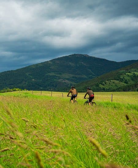 mountain bikers on a trail