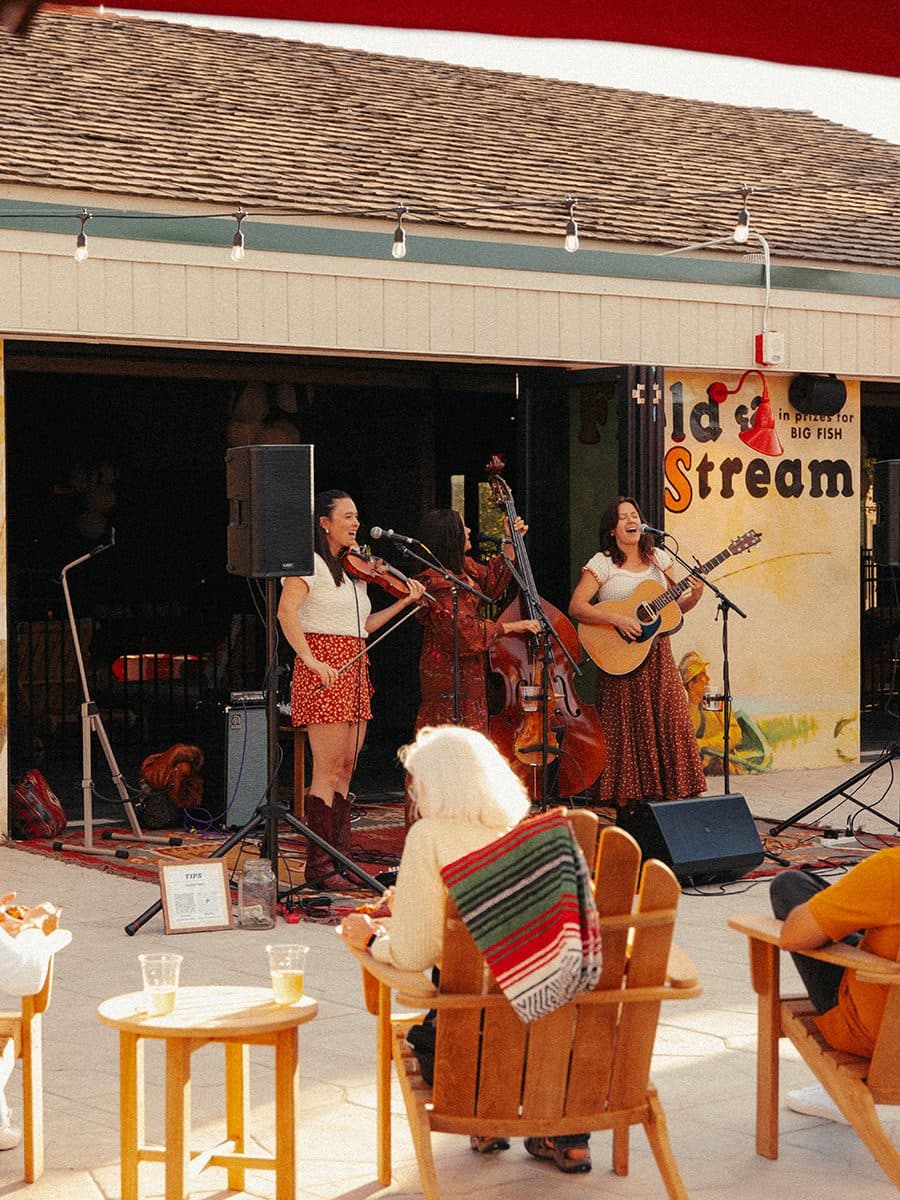 bluegrass band performing in the backyard