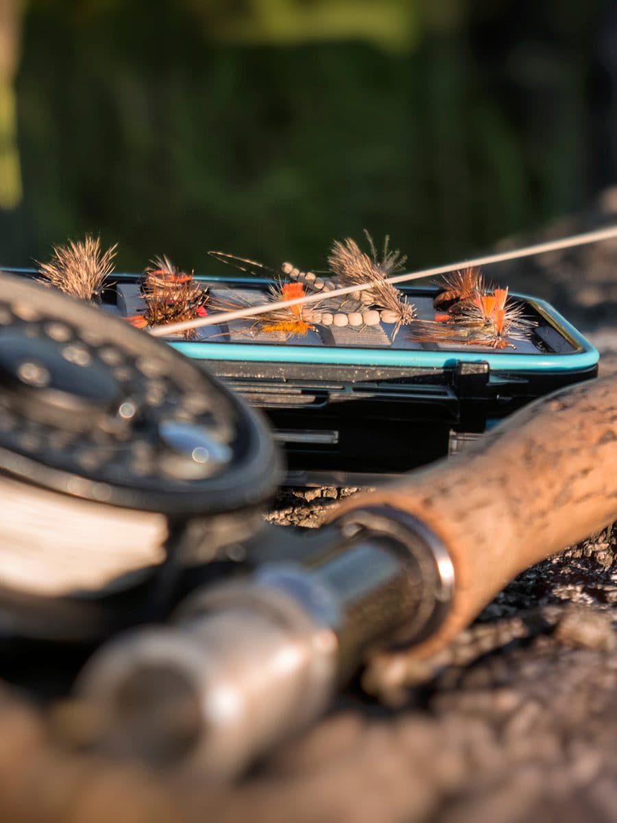 rod, reel and flies