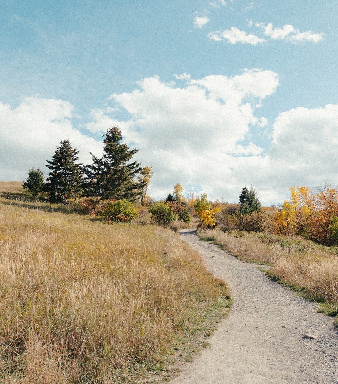hiking trail in bozeman