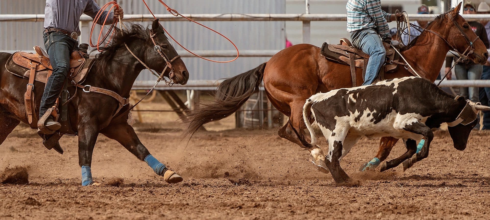 scenes from a rodeo
